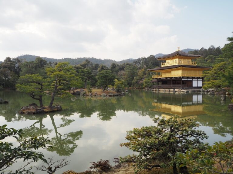 鏡湖池と金閣の姿