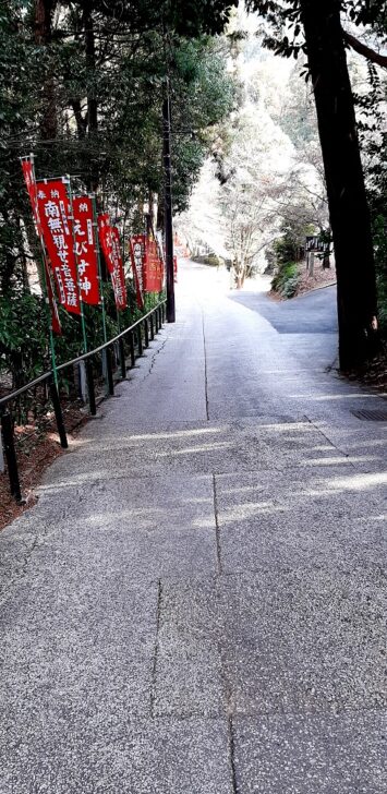 今熊野観音寺近くの道