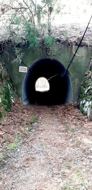 北山10-1のトンネル