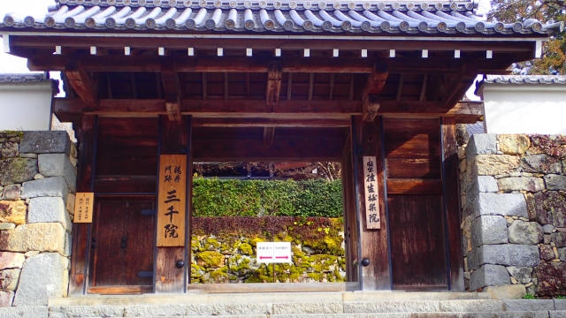 京都五箇室門跡を解説