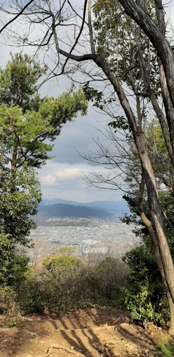 松尾山山頂からの絶景
