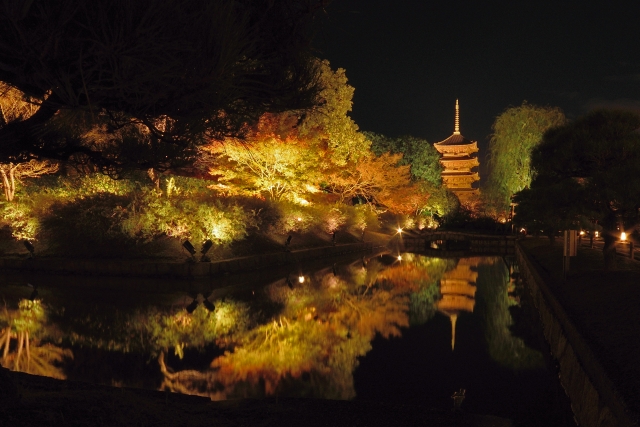 紅葉ライトアップが美しい京都の寺社
