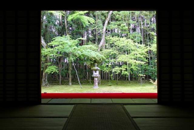 苔がきれいな大徳寺高桐院