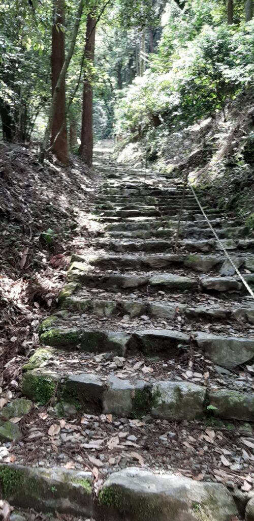 醍醐山で初めの方の階段