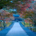 のんびり京都寺社観光