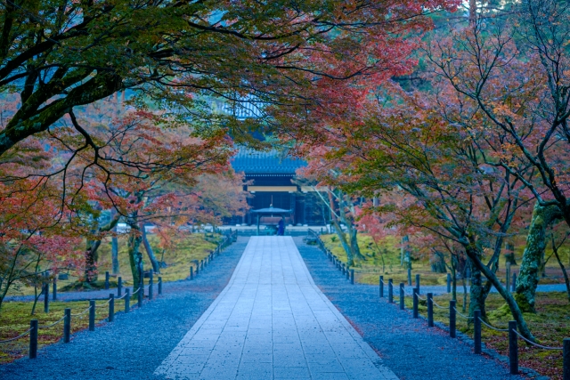 のんびり京都寺社観光