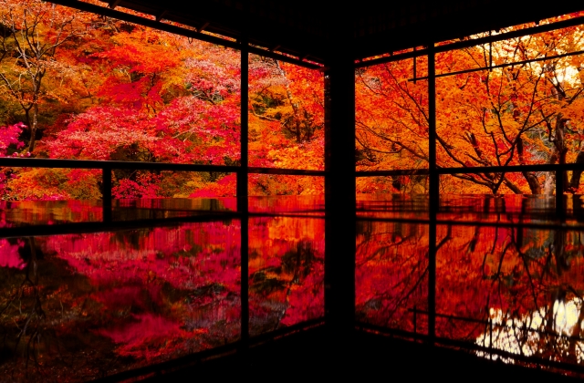 京都の寺社リフレクション