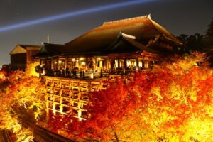 11月におすすめする京都寺社めぐり！秋は紅葉真っ盛り