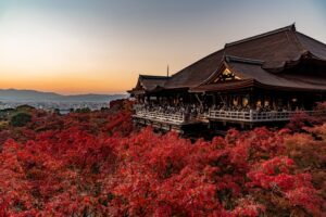 京都で紅葉を見るならこの寺社がおすすめ！モデルコースも紹介します