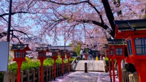 桜が美しい「六孫王神社」